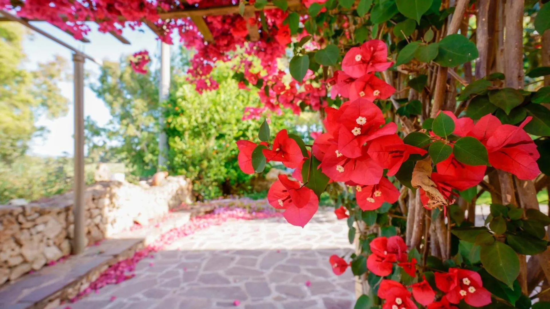 Agriturismo La Genziana Alghero